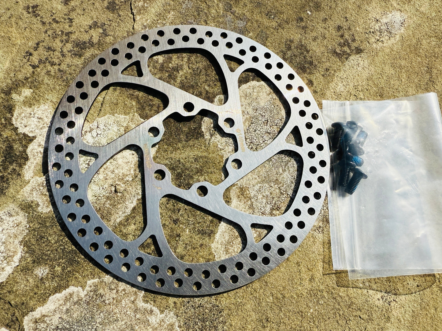 Disc Rotor - Silk