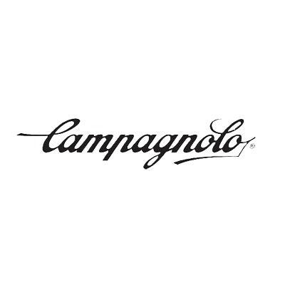 Campagnolo Disc Pads