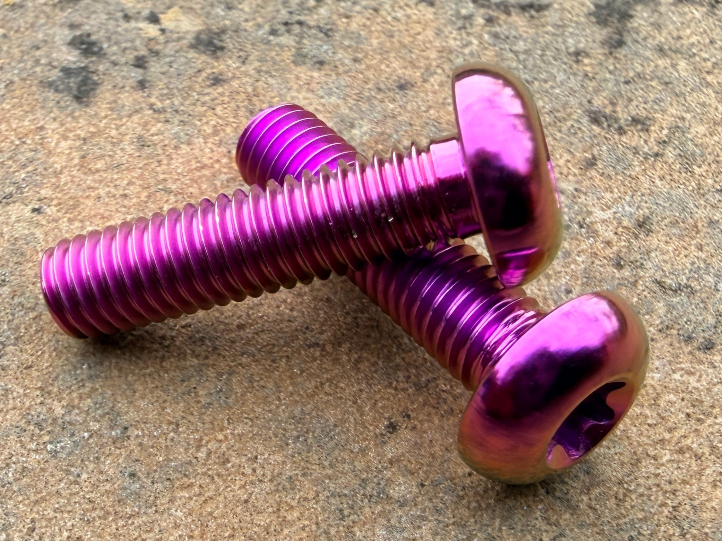 Bottle Cage Bolts - M5 Low Head - 2 Pack