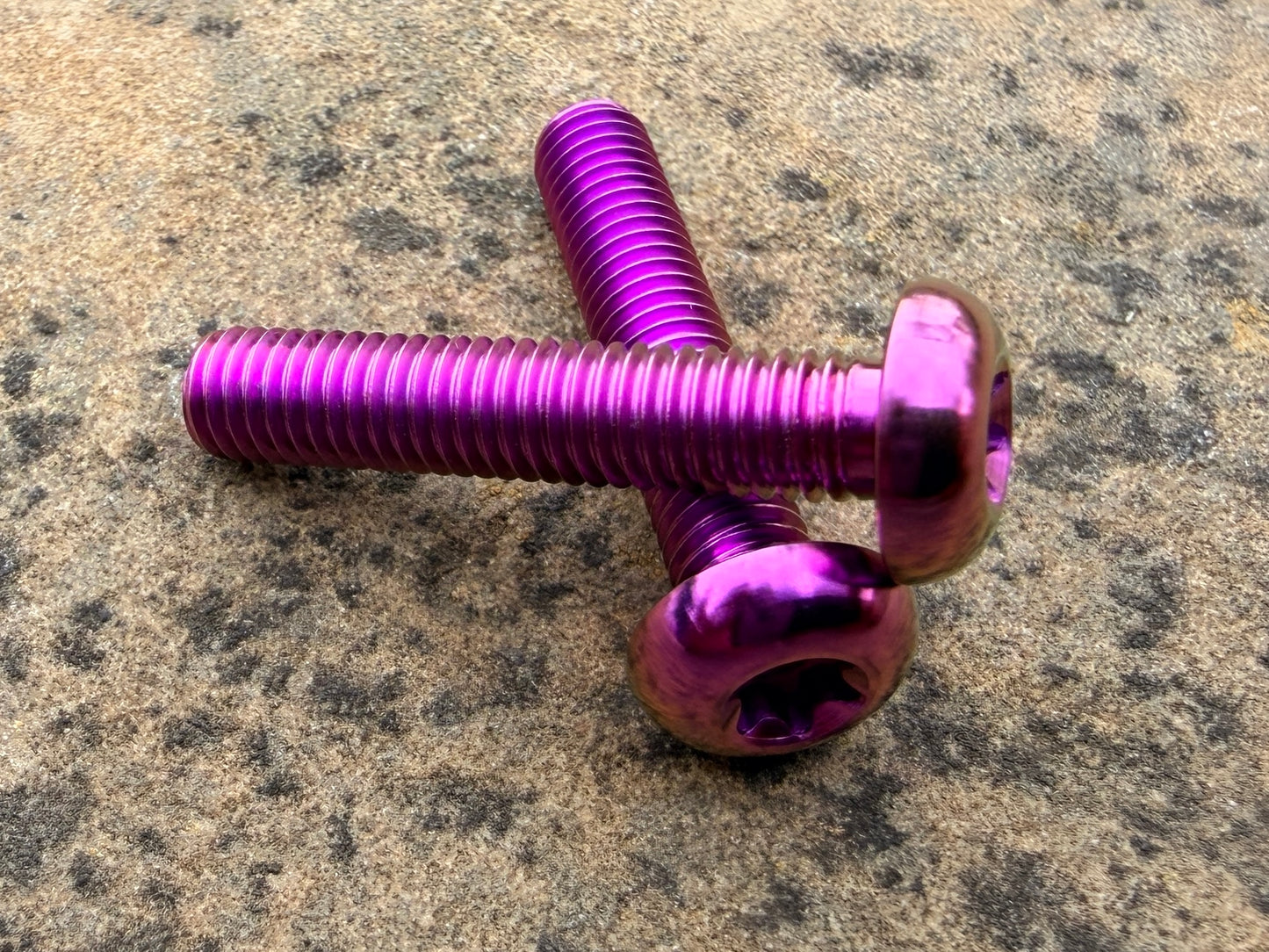 Bottle Cage Bolts - M5 Low Head - 2 Pack