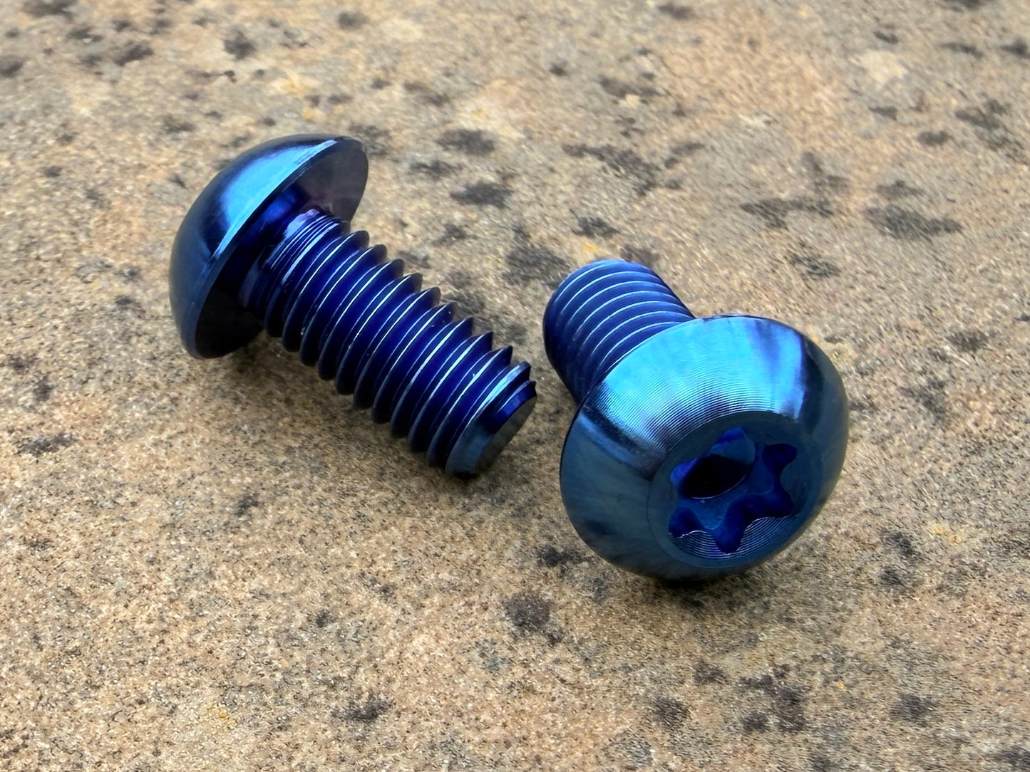 Bottle Cage Bolts - M5 Low Head - 2 Pack