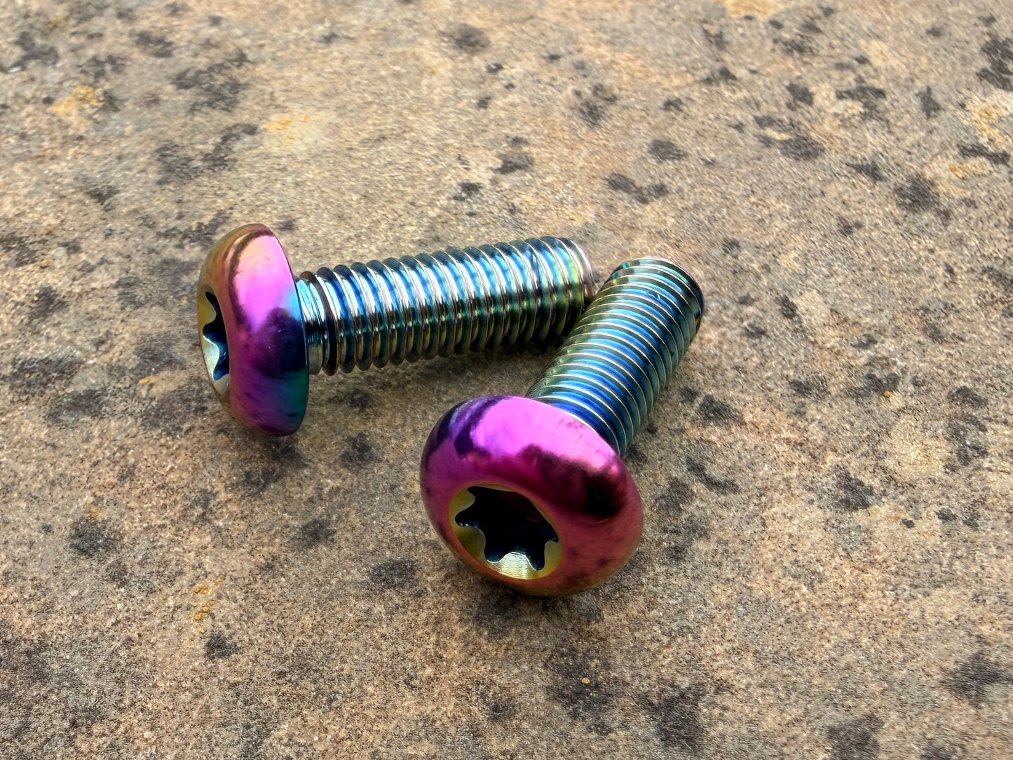 Bottle Cage Bolts - M5 Low Head - 2 Pack