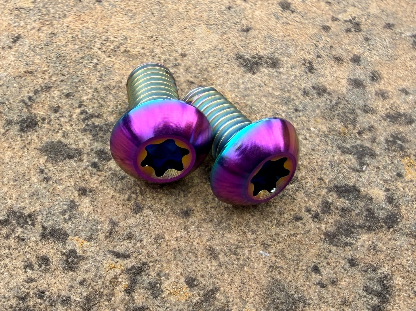 Bottle Cage Bolts - M5 Low Head - 2 Pack