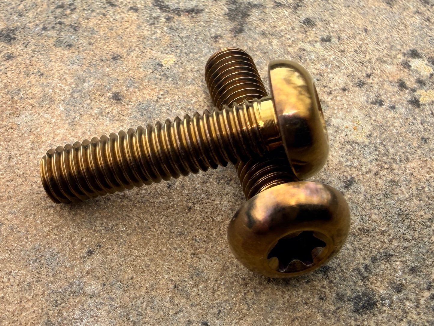 Bottle Cage Bolts - M5 Low Head - 2 Pack