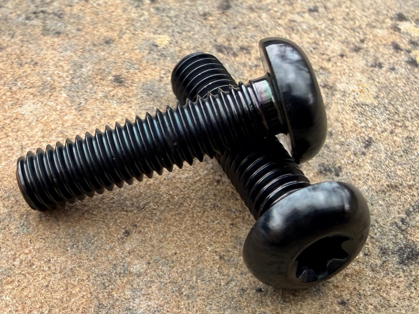 Bottle Cage Bolts - M5 Low Head - 2 Pack