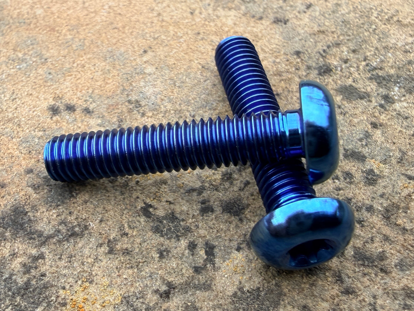 Bottle Cage Bolts - M5 Low Head - 2 Pack