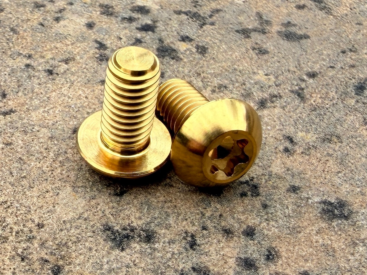 Bottle Cage Bolts - M5 Low Head - 2 Pack
