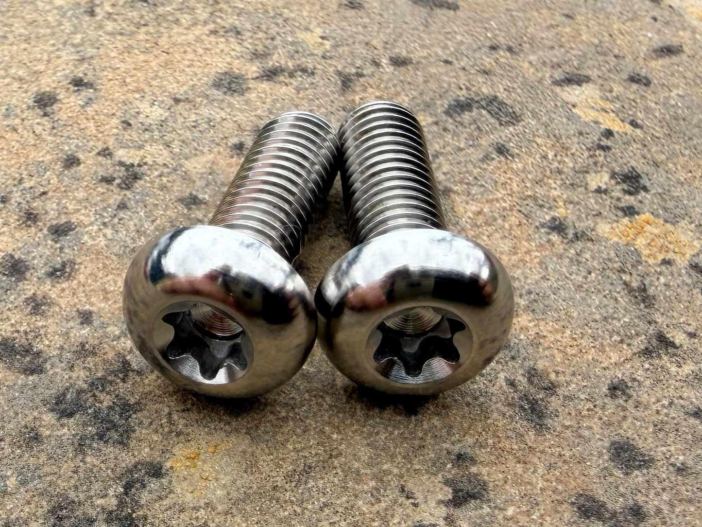 Bottle Cage Bolts - M5 Low Head - 2 Pack