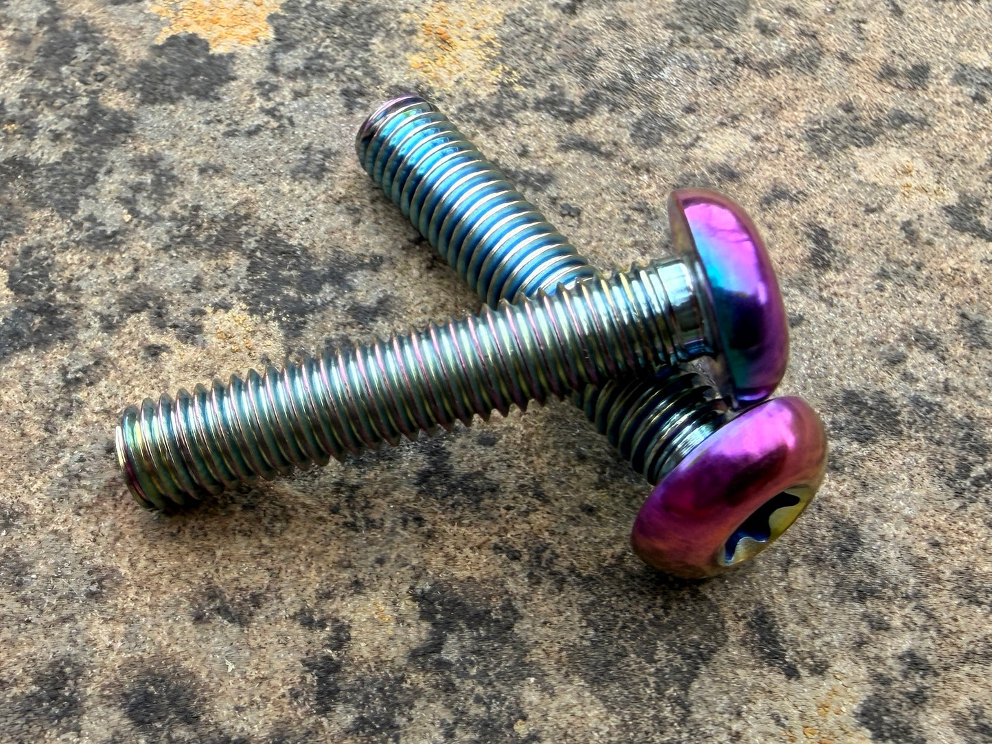 Bottle Cage Bolts - M5 Low Head - 2 Pack