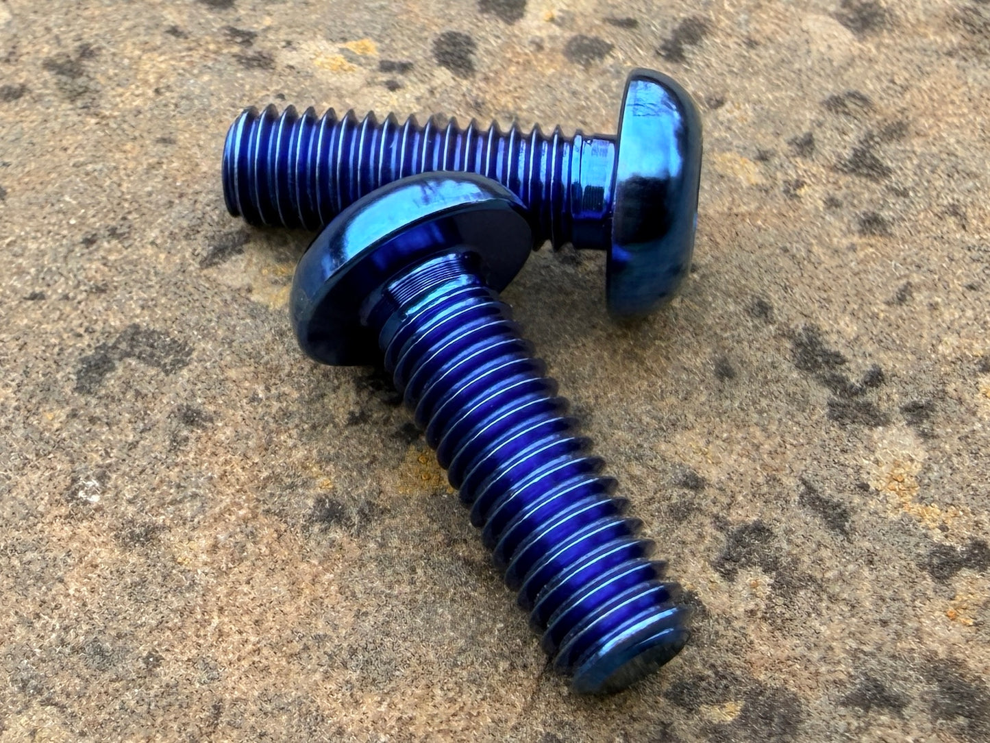 Bottle Cage Bolts - M5 Low Head - 2 Pack