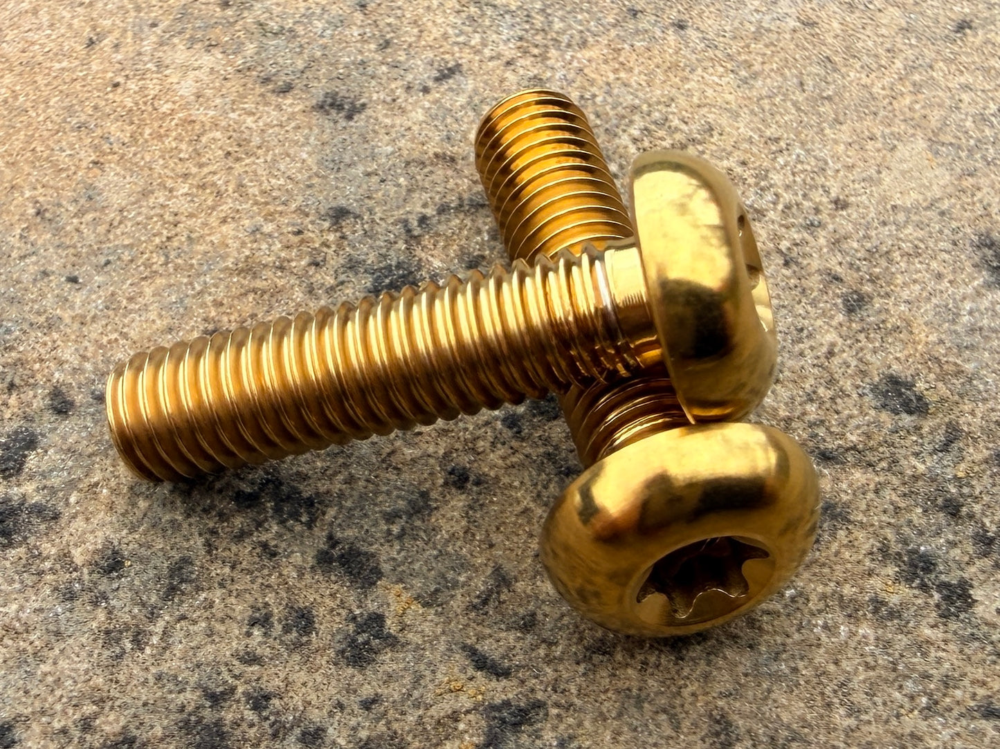 Bottle Cage Bolts - M5 Low Head - 2 Pack