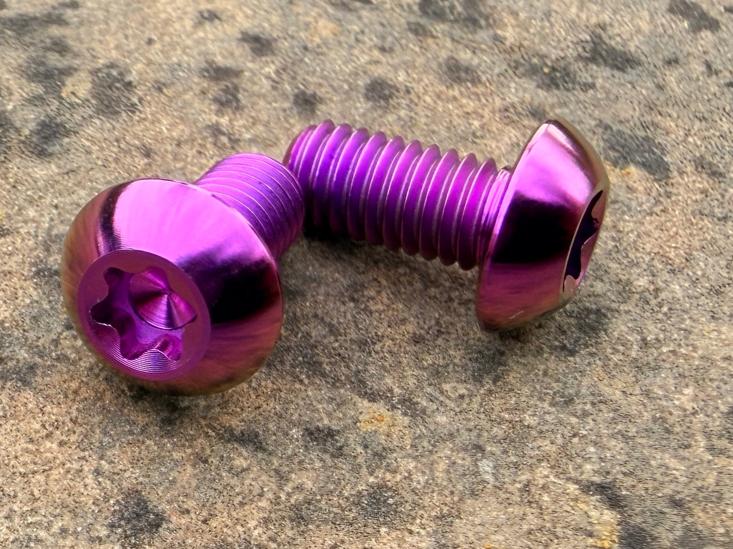 Bottle Cage Bolts - M5 Low Head - 2 Pack