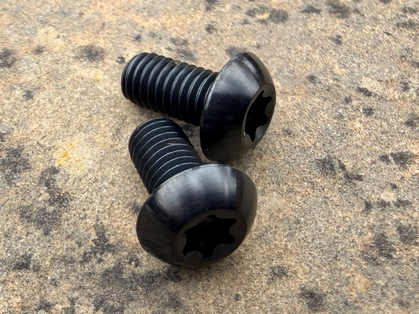 Bottle Cage Bolts - M5 Low Head - 2 Pack