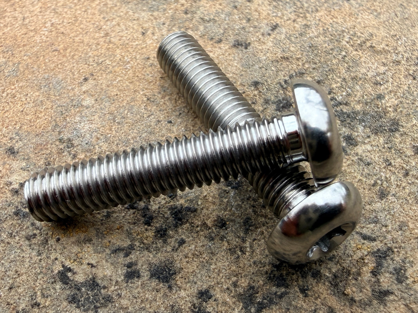 Bottle Cage Bolts - M5 Low Head - 2 Pack