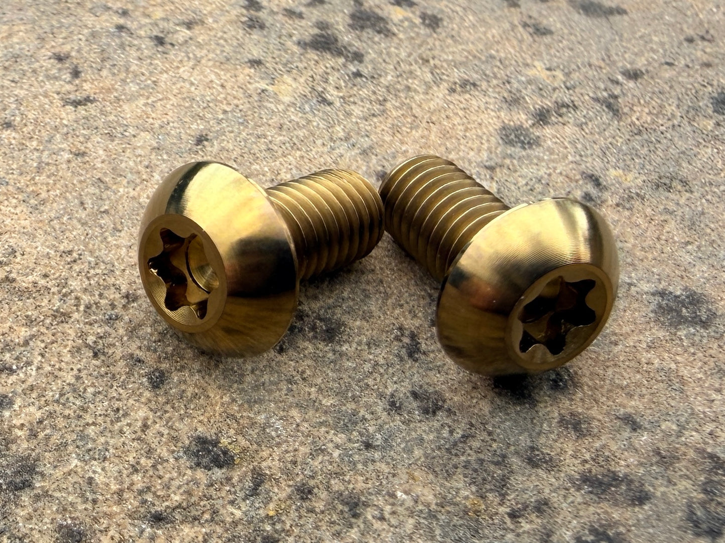 Bottle Cage Bolts - M5 Low Head - 2 Pack