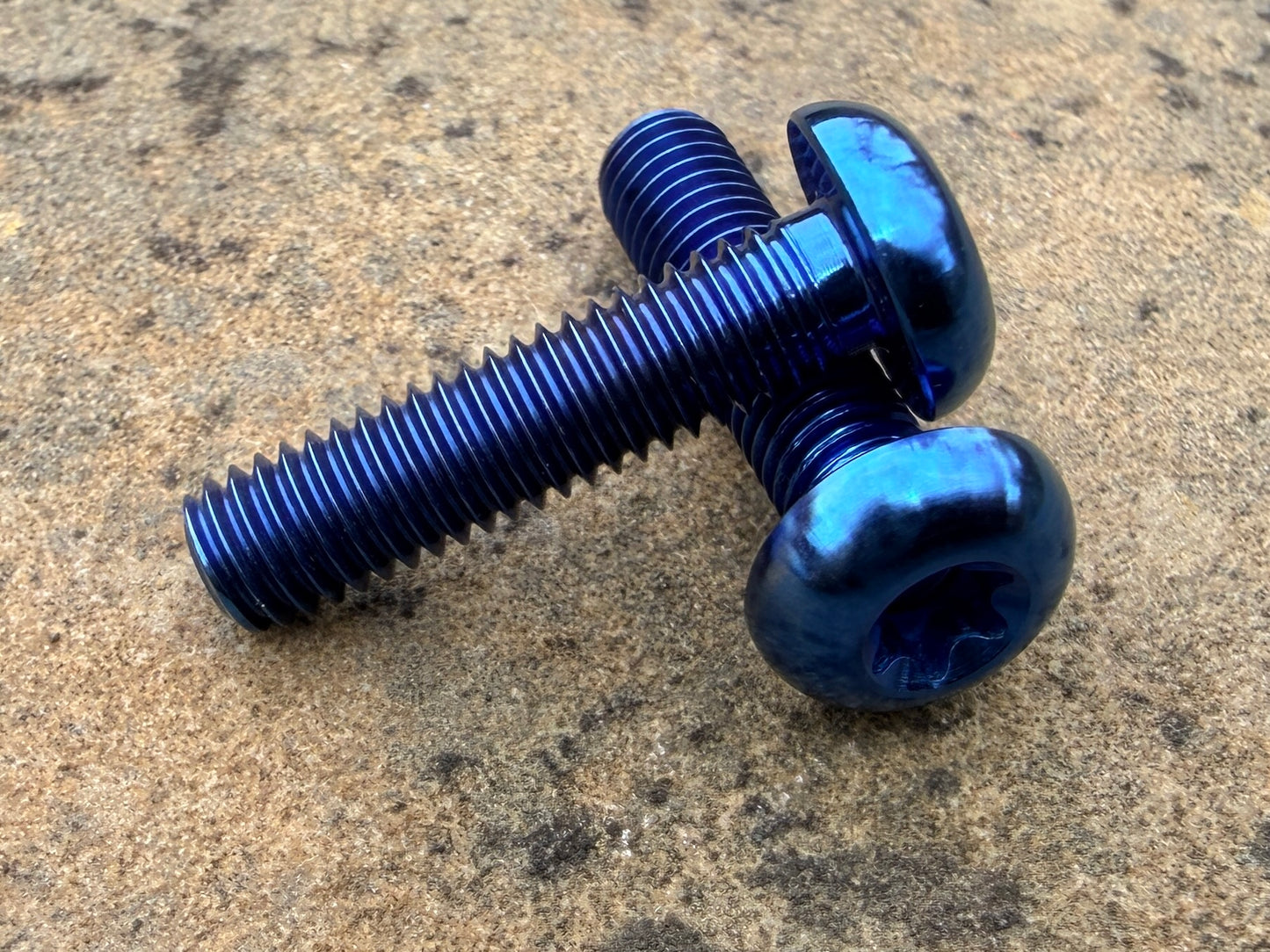 Bottle Cage Bolts - M5 Low Head - 2 Pack