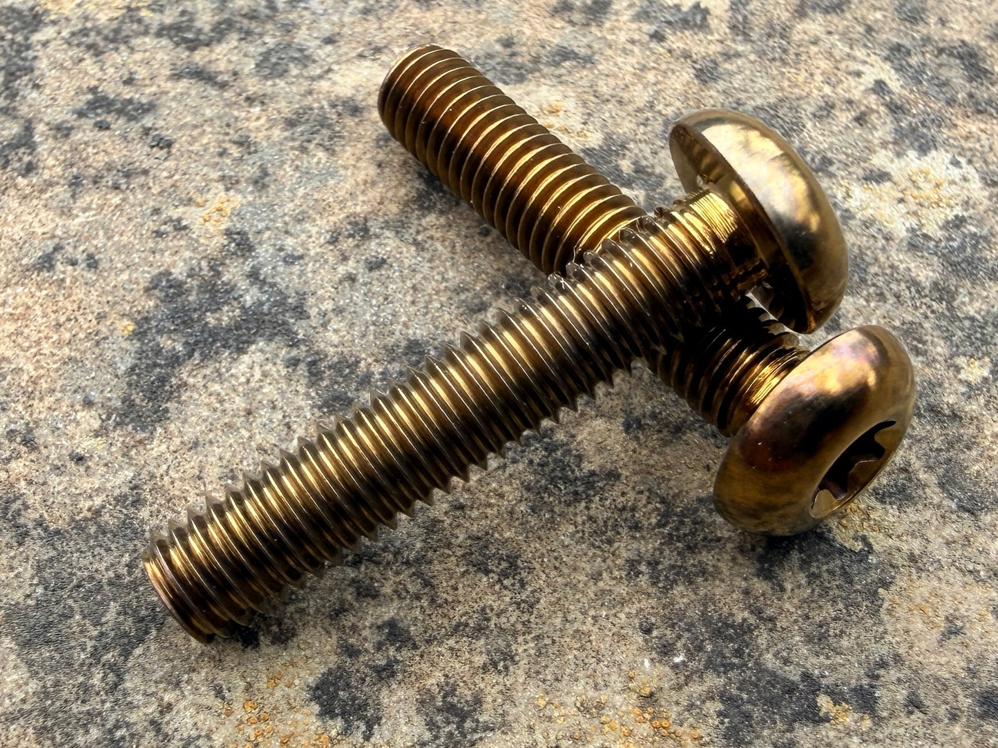 Bottle Cage Bolts - M5 Low Head - 2 Pack