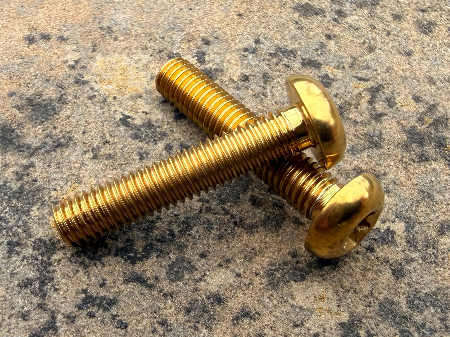 Bottle Cage Bolts - M5 Low Head - 2 Pack