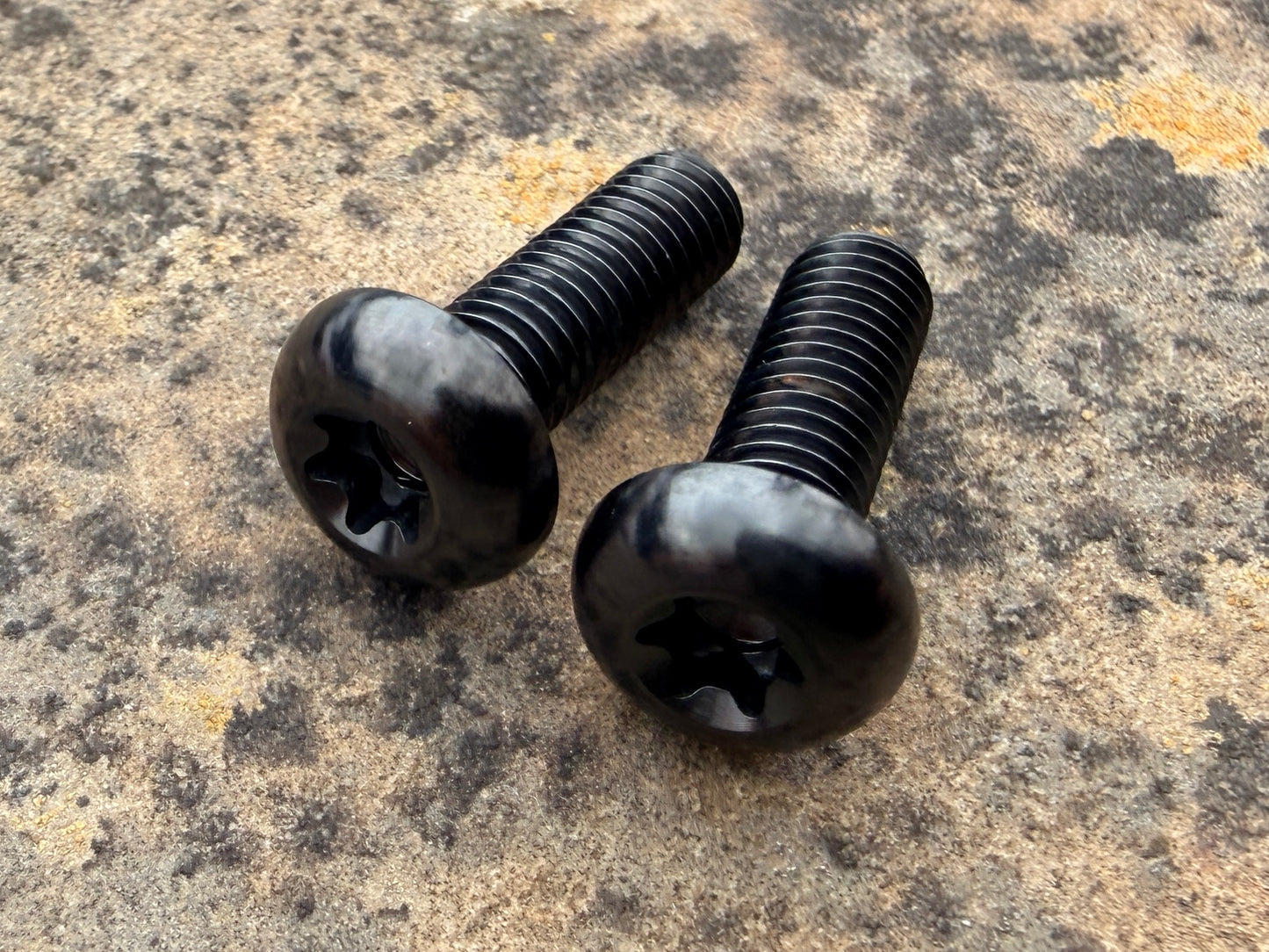 Bottle Cage Bolts - M5 Low Head - 2 Pack