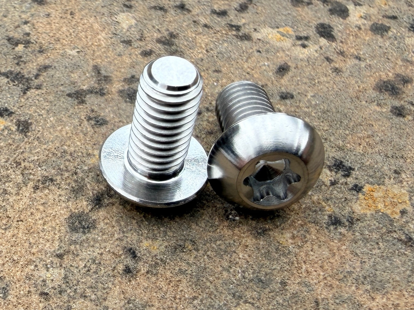 Bottle Cage Bolts - M5 Low Head - 2 Pack