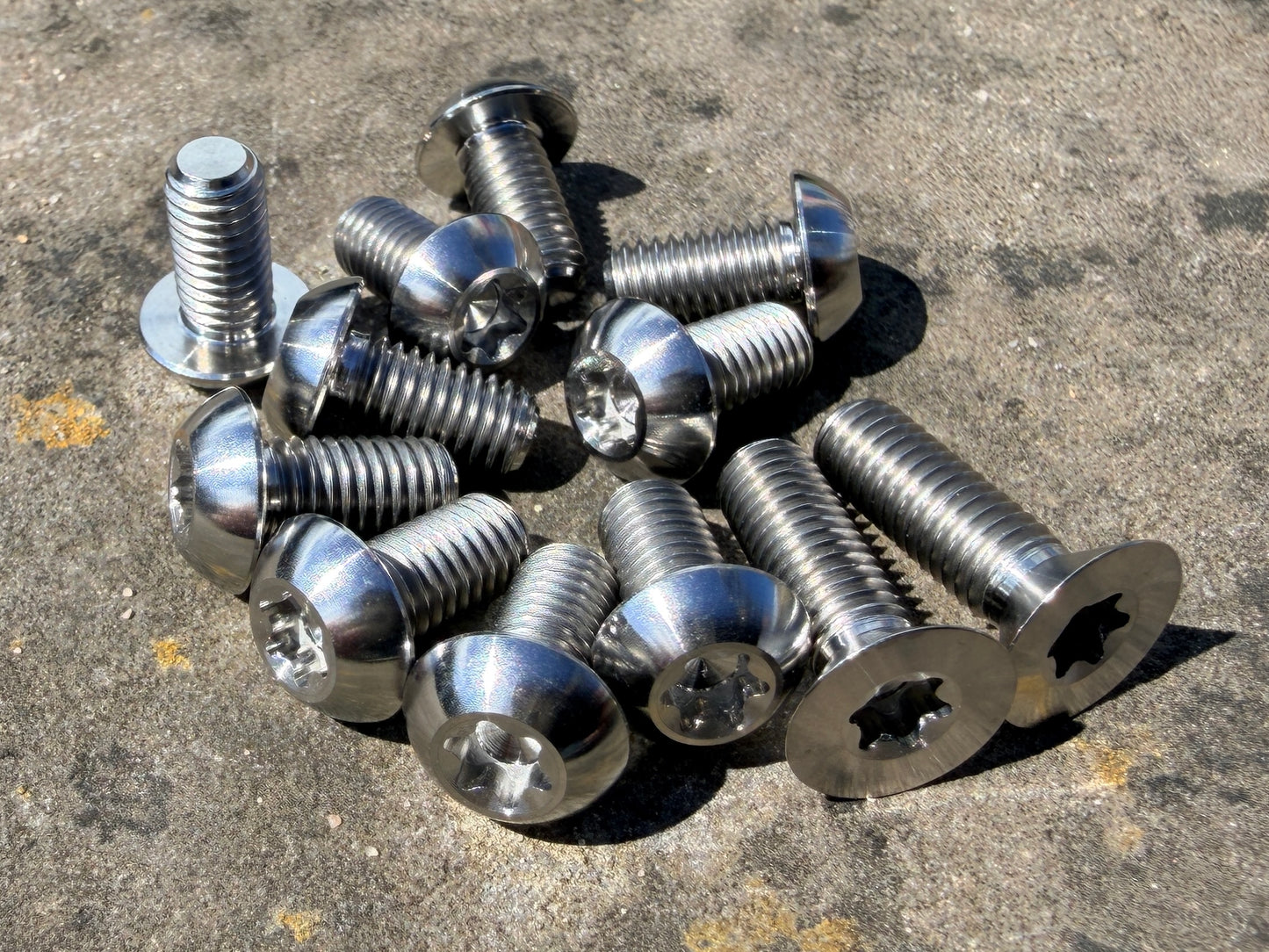silver titanium disc bolt kit for Specialized Levo and Kenevo models that feature a rear wheel speed sensor magnet