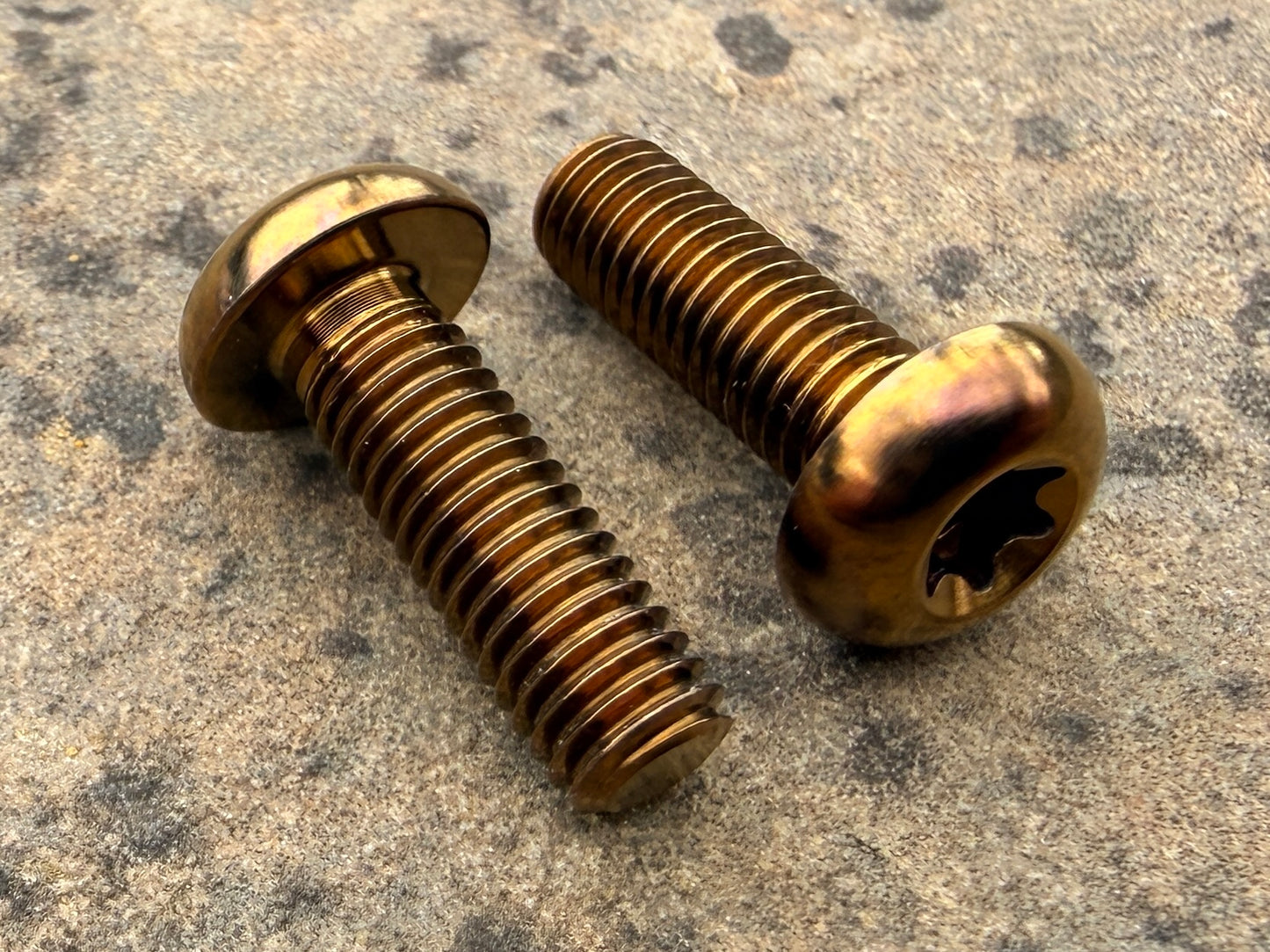 Bottle Cage Bolts - M5 Low Head - 2 Pack