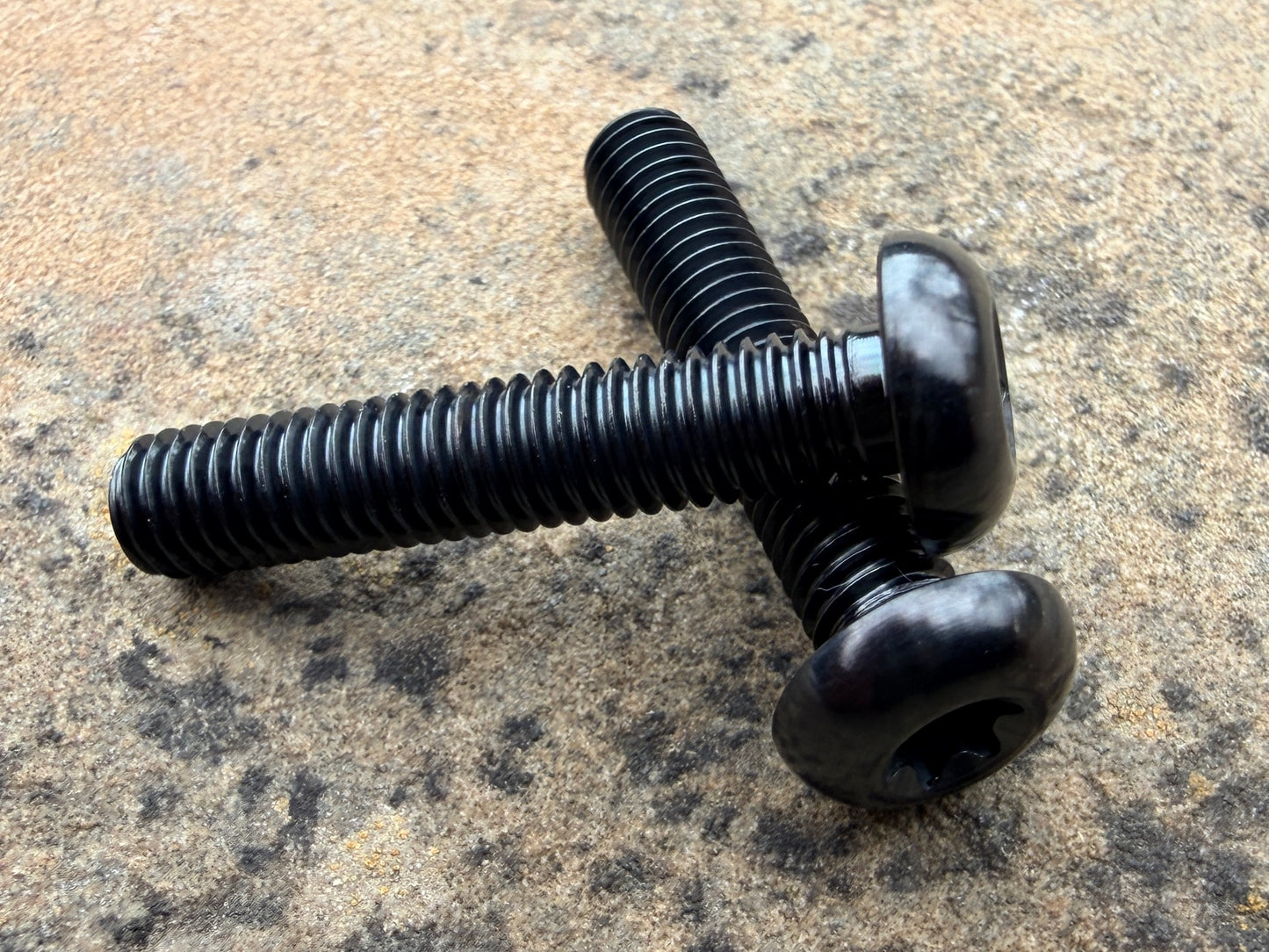 Bottle Cage Bolts - M5 Low Head - 2 Pack