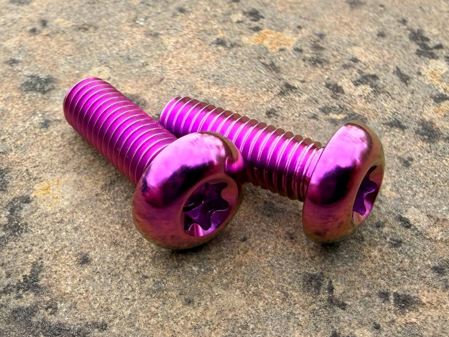 Bottle Cage Bolts - M5 Low Head - 2 Pack