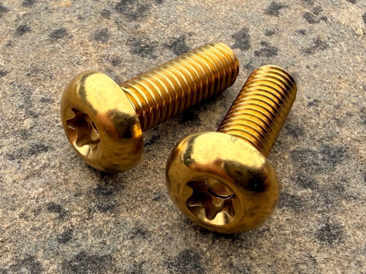 Bottle Cage Bolts - M5 Low Head - 2 Pack
